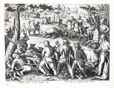 Bear hunting with dogs and spears, illustration from 